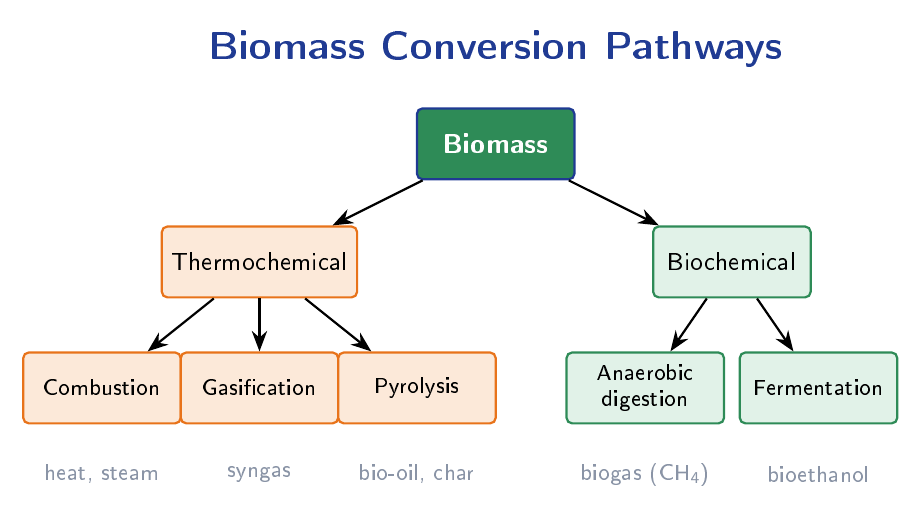 Flow diagram showing biomass splitting into thermochemical pathways (combustion, gasification, pyrolysis) and biochemical pathways (anaerobic digestion, fermentation).