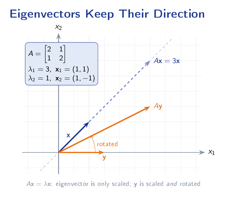 Two-dimensional illustration showing an eigenvector maintaining its direction under matrix multiplication while a non-eigenvector is rotated to a different direction