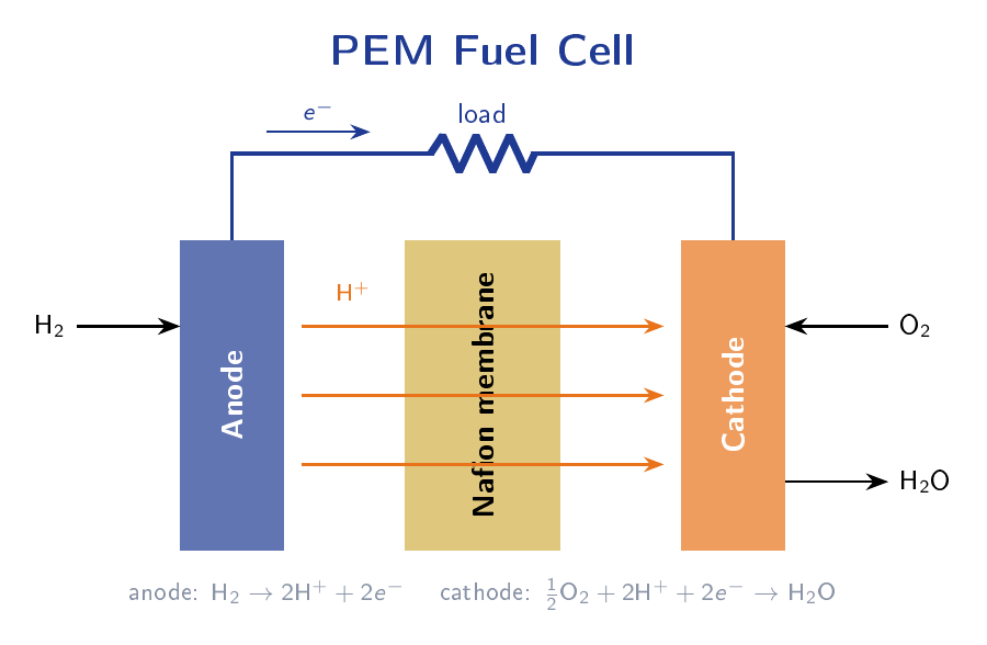 Schematic of a PEM fuel cell showing hydrogen entering the anode, oxygen entering the cathode, proton transport across the Nafion membrane, electron flow through the external circuit, and water formation at the cathode.