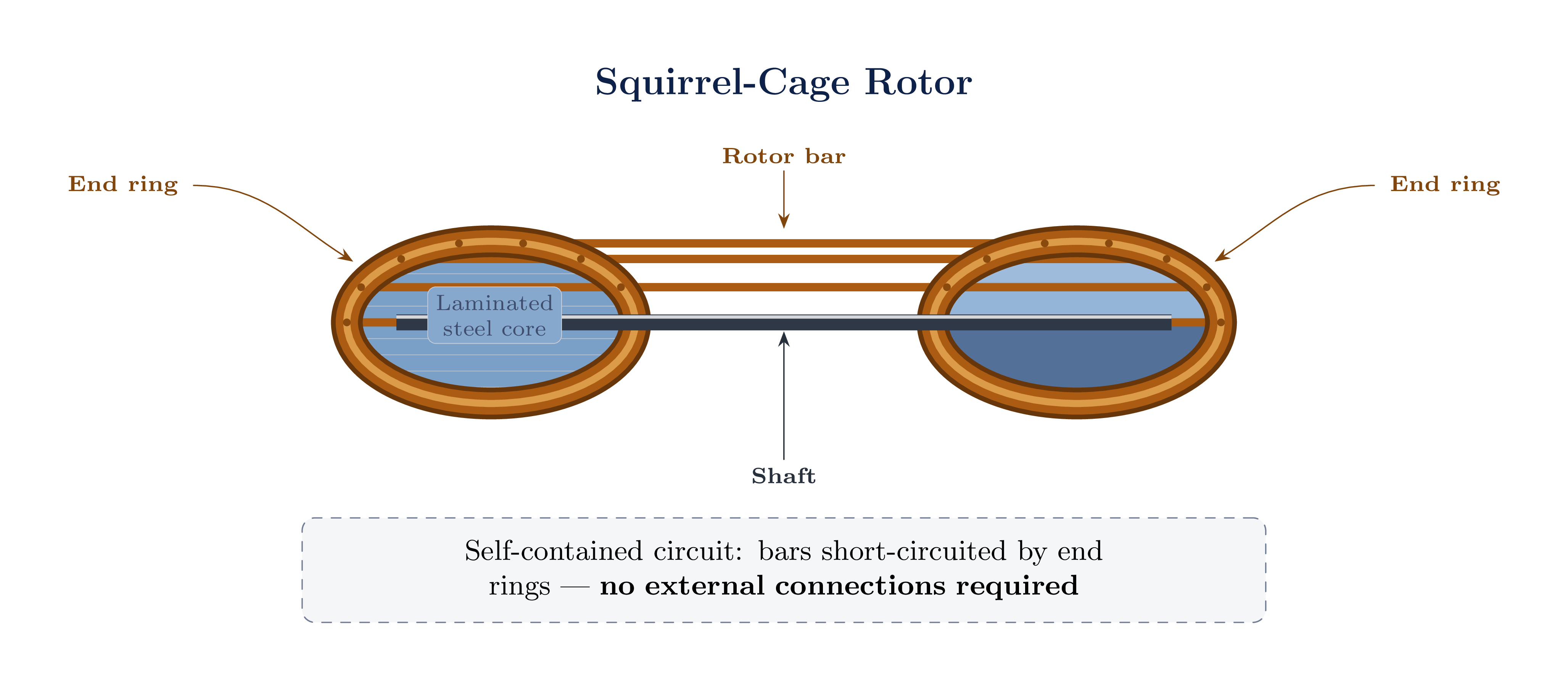Squirrel cage rotor construction showing aluminium bars and end rings